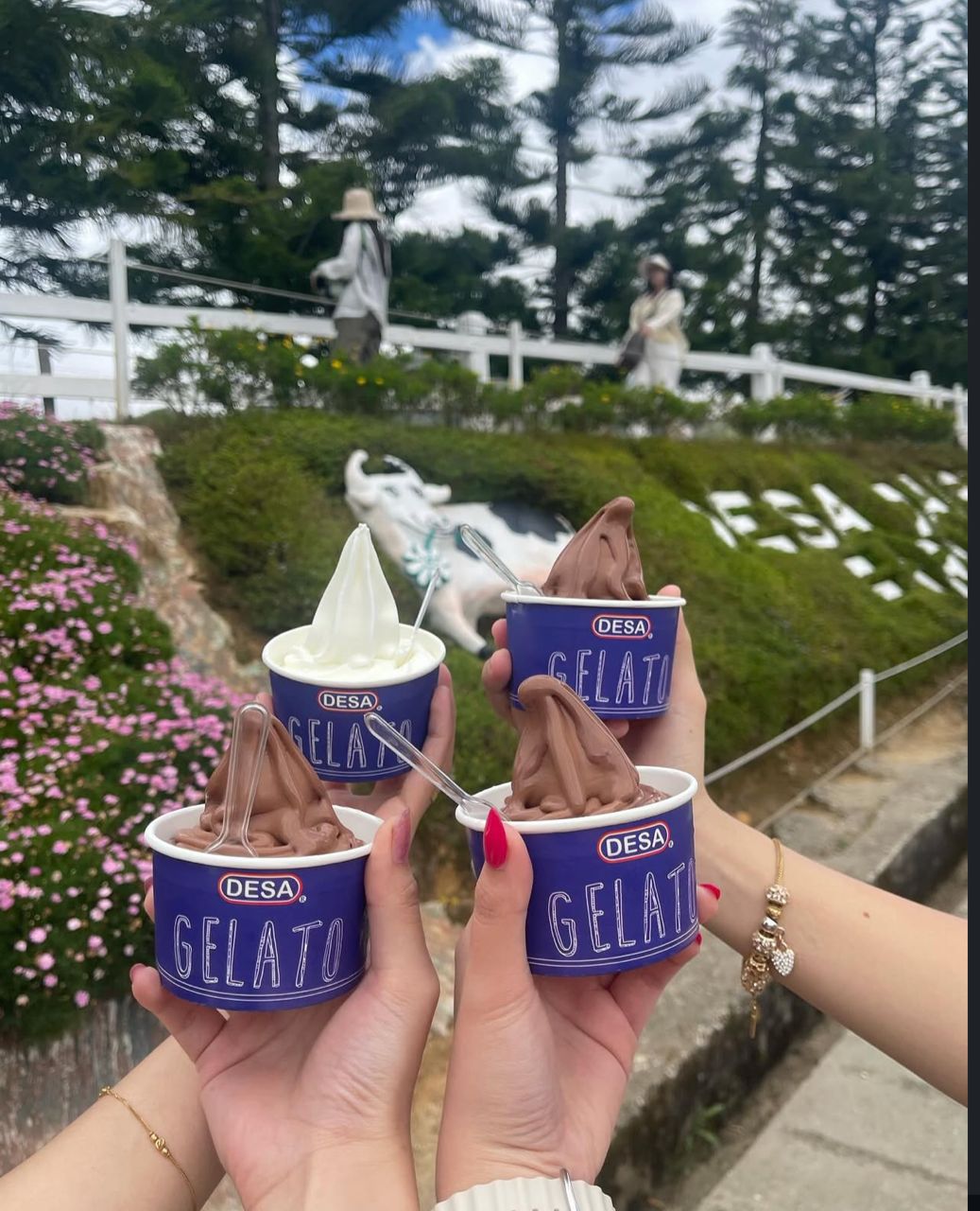 WhatsApp Image 2024-12-12 at 11.01.01_447a9a05