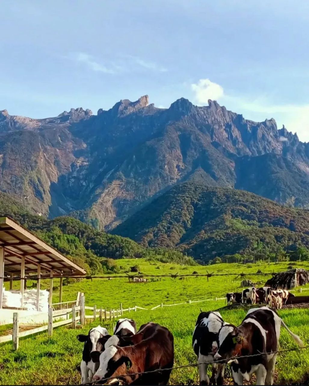 WhatsApp Image 2024-12-12 at 11.12.55_3f6d960e