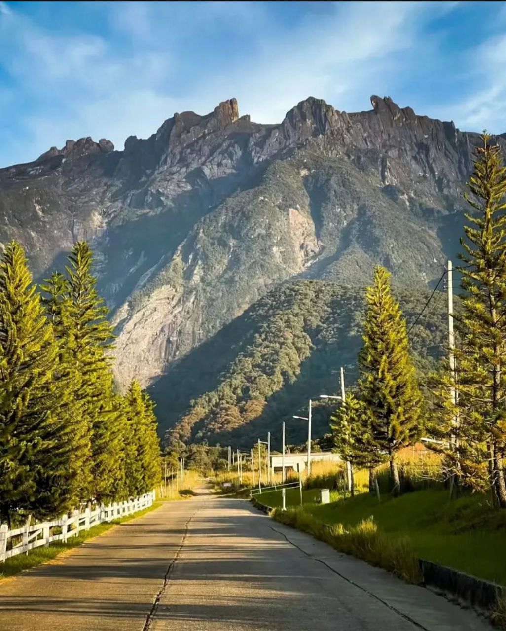 WhatsApp Image 2024-12-12 at 11.12.55_5782d043